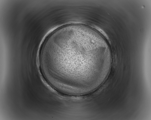 X0000086231080200704191755