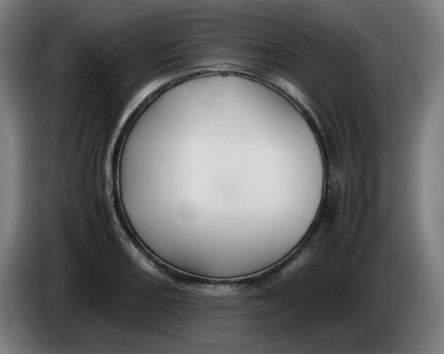 X0000086231082200704191754