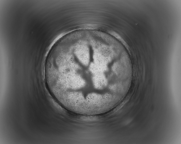 X0000086231083200704191754