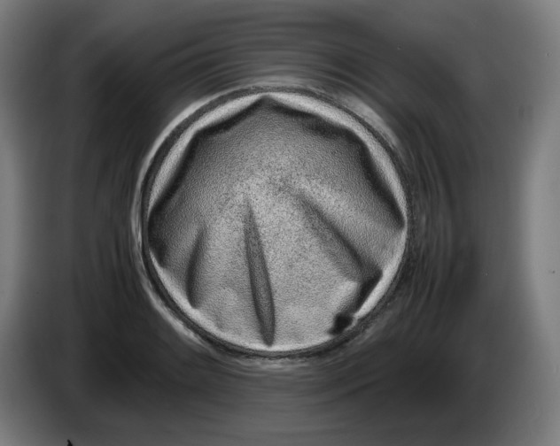 X0000086231084200704191754