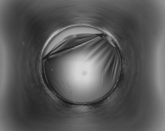 X0000086231085200704191754