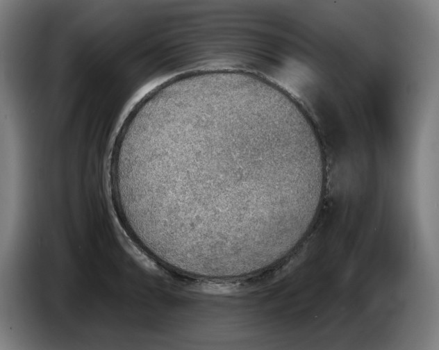 X0000086231086200704191754