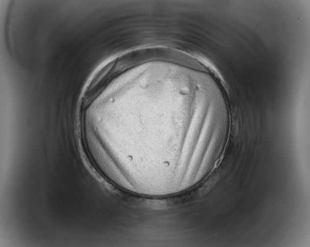 X0000086231088200704191754