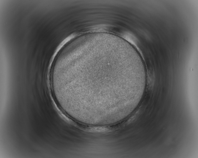 X0000086231090200704191754