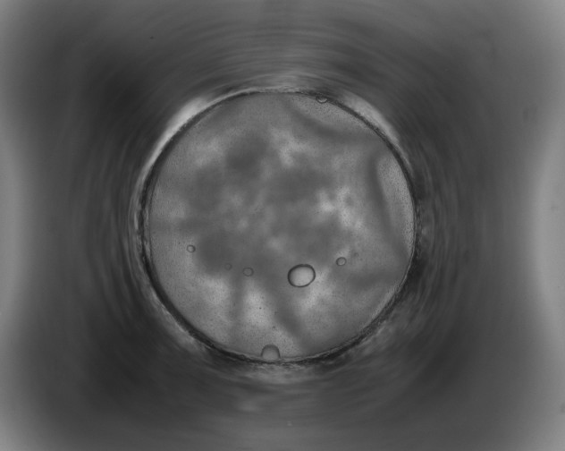 X0000086231091200704191754