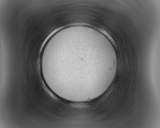 X0000086231092200704191754