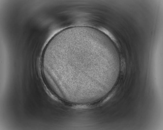 X0000086231094200704191754