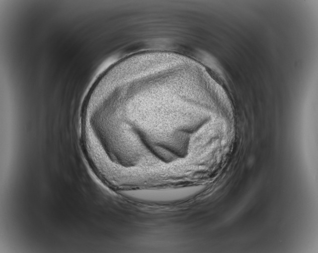 X0000086231095200704191754