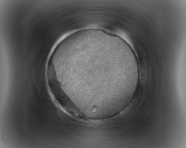 X0000086231096200704191754