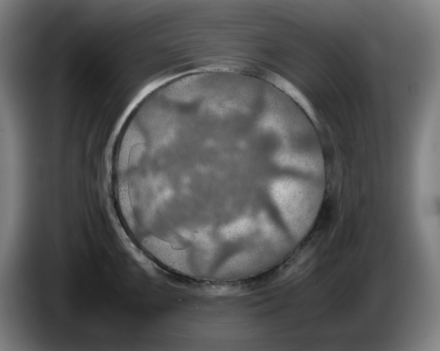 X0000086231099200704191754