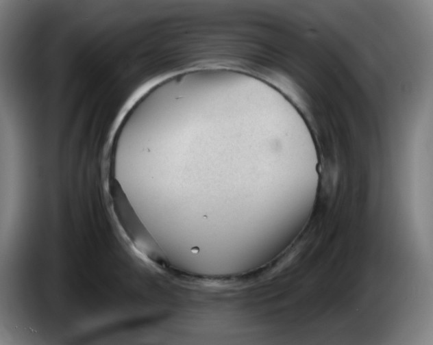 X0000086231102200704191754