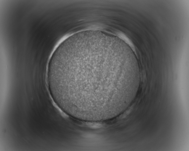 X0000086231103200704191754