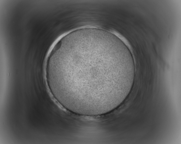 X0000086231104200704191754