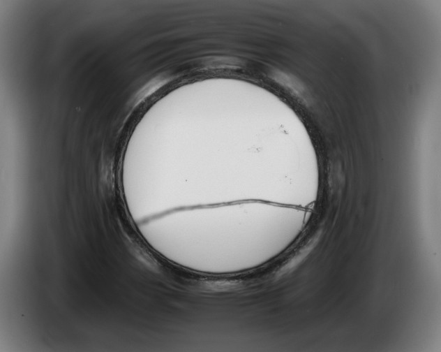 X0000086231113200704191754