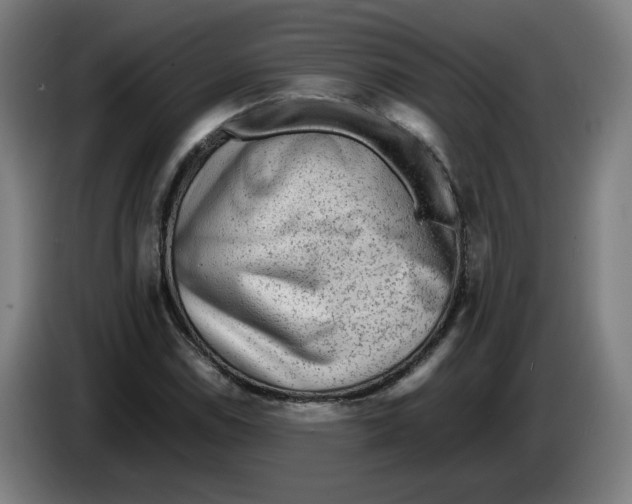 X0000086231114200704191754