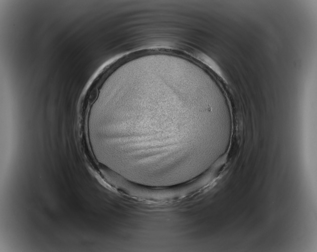 X0000086231116200704191754