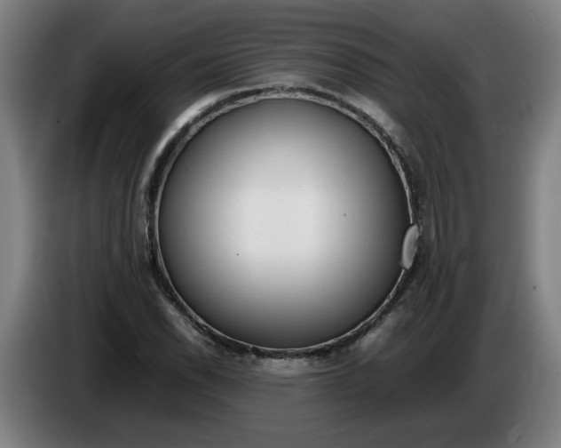 X0000086231118200704191754