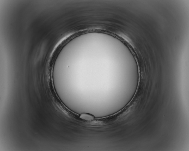 X0000086231119200704191754