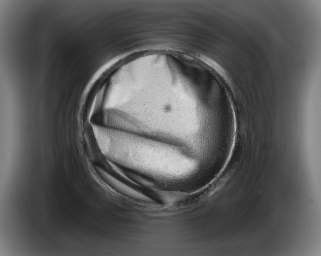 X0000086231120200704191754