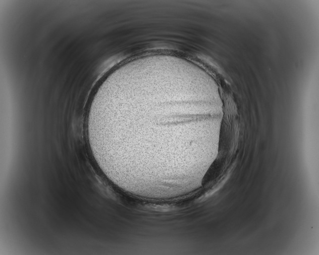 X0000086231121200704191754