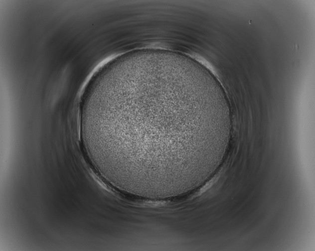 X0000086231123200704191754