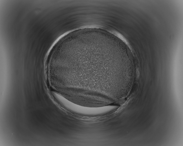 X0000086231124200704191754