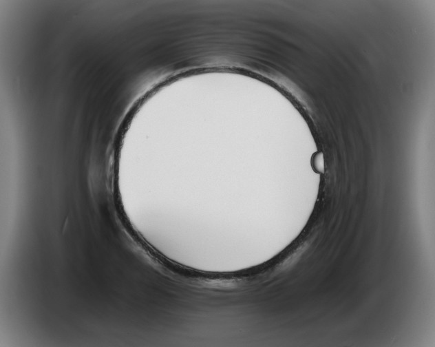 X0000086231126200704191754