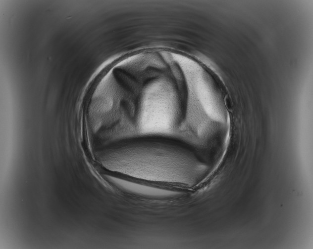 X0000086231127200704191754