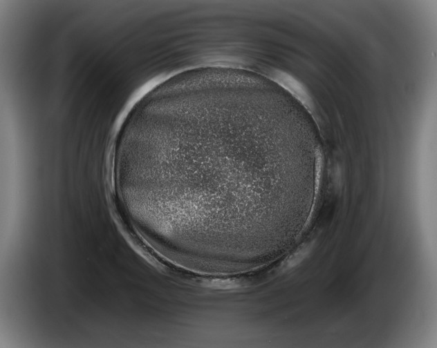 X0000086231128200704191754