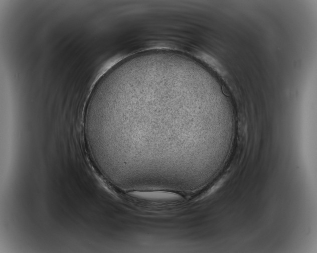 X0000086231129200704191754