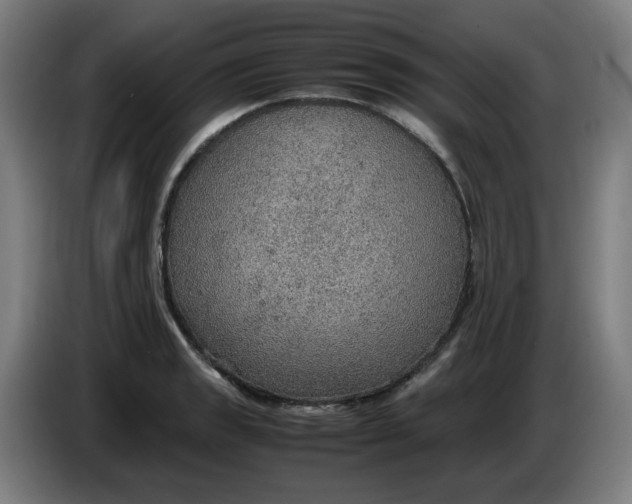 X0000086231133200704191754