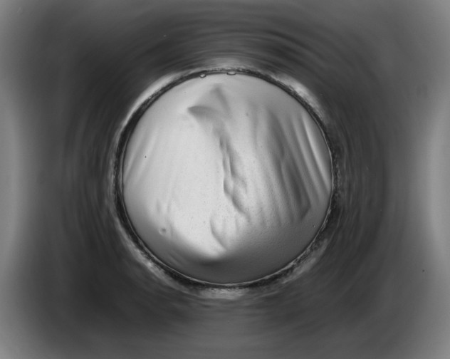 X0000086231134200704191754