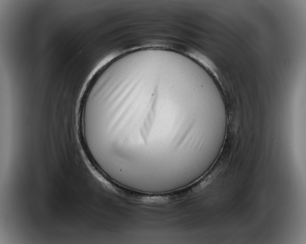 X0000086231135200704191754