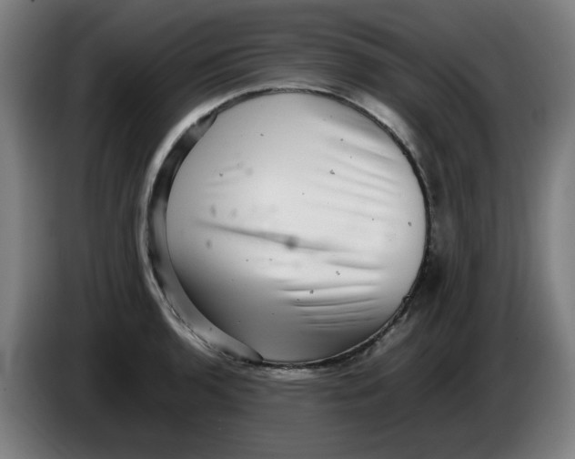 X0000086231136200704191754