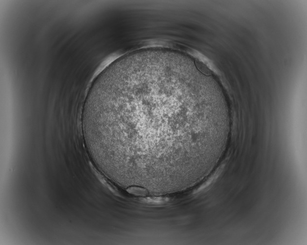 X0000086231137200704191754