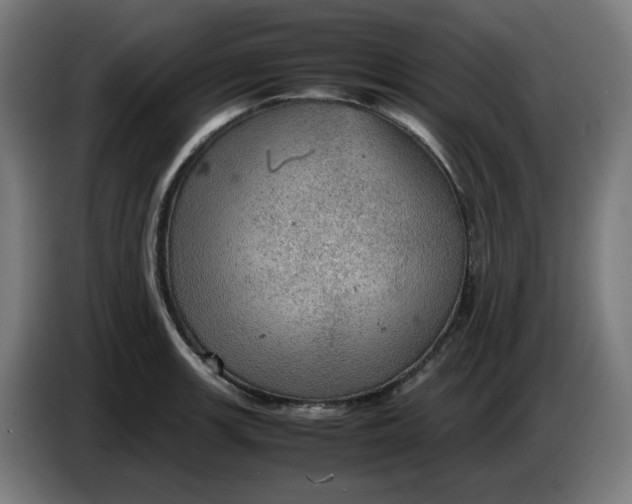 X0000086231139200704191754