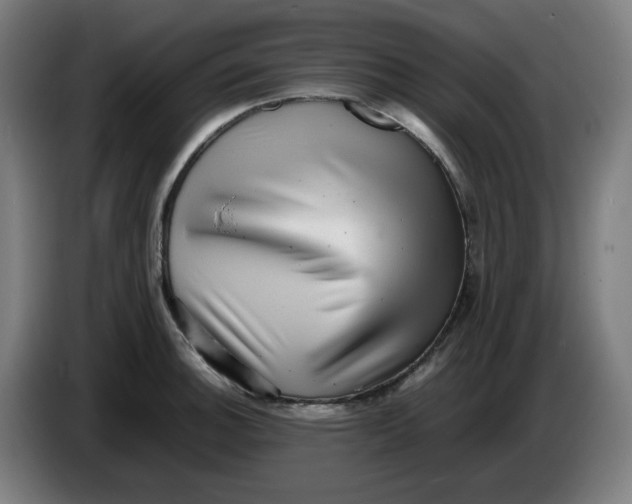 X0000086231140200704191754