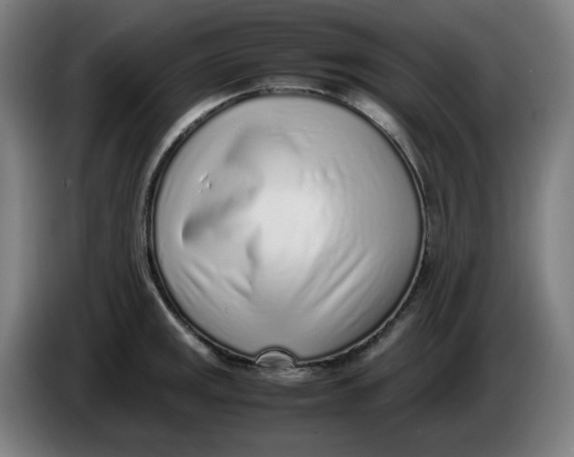 X0000086231141200704191754