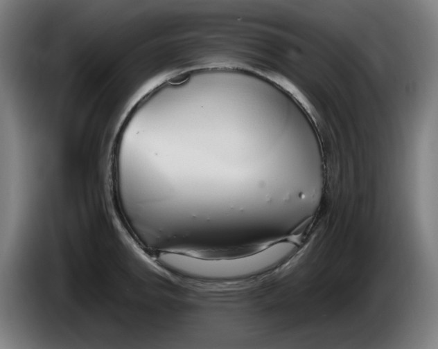 X0000086231142200704191754