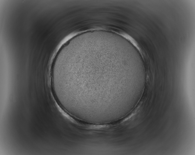 X0000086231143200704191754