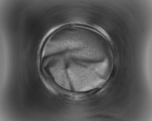 X0000086231144200704191754