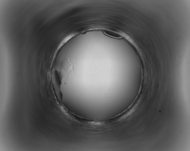 X0000086231145200704191754