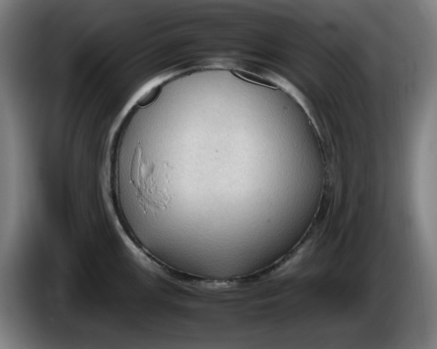 X0000086231147200704191754