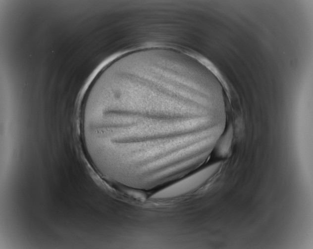 X0000086231148200704191754