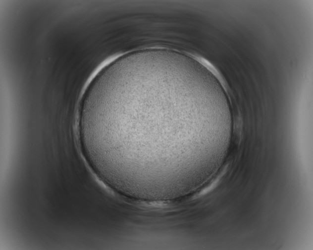 X0000086231149200704191754