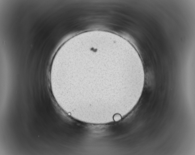 X0000086231150200704191754