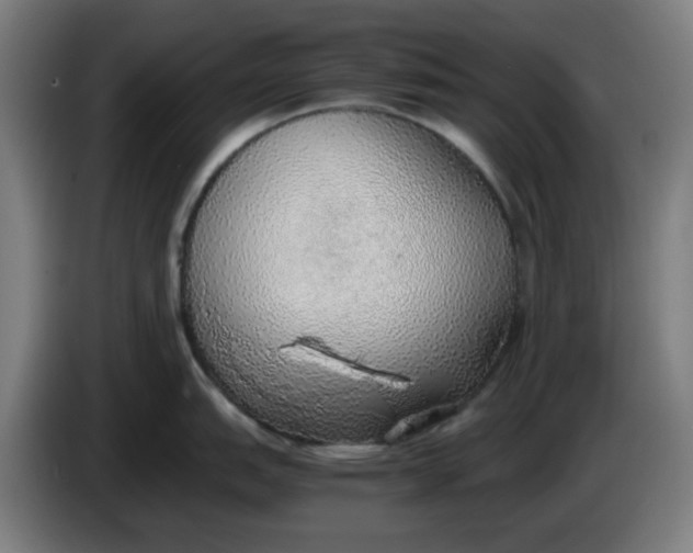 X0000086231151200704191754