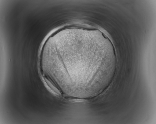 X0000086231152200704191754