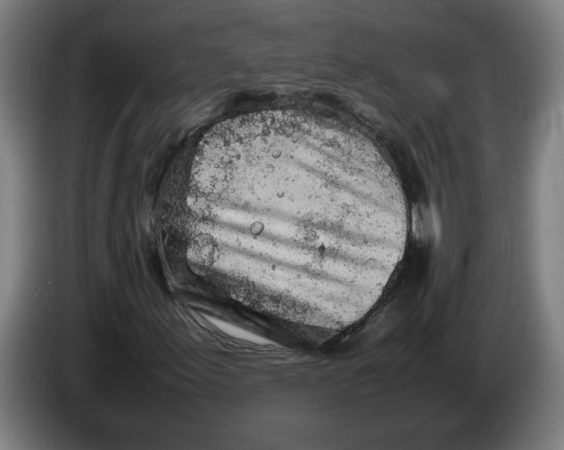 X0000086231155200704191753