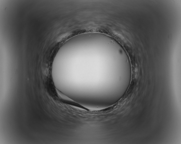 X0000086231157200704191753